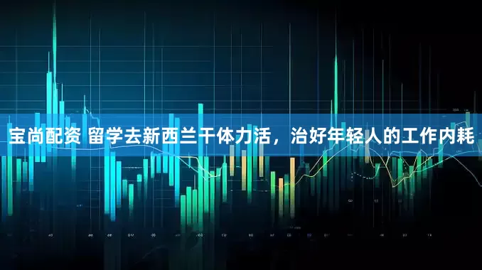 宝尚配资 留学去新西兰干体力活，治好年轻人的工作内耗